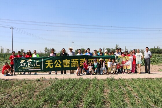 110564890613-11460492158.jpg 110564890613-11460492158.jpg